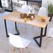 Металева опора для столу Ехо Loft Design 10-1000 фото 3