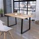 Металева опора для столу Титан Loft Design 10-1002 фото 5