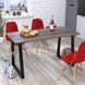 Металева опора для столу Титан Loft Design 10-1002 фото 9