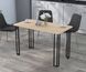 Металева опора для столу Сквер Loft Design 10-1004 фото 15