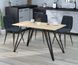 Металева опора для столу Ліма Loft Design 10-1005 фото 16